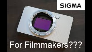 Will the sigma bf be a good camera for cinematographers?