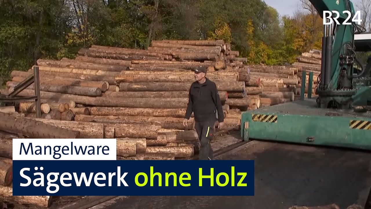 Rohstoffmangel: Sägewerke ohne Holz | BR24