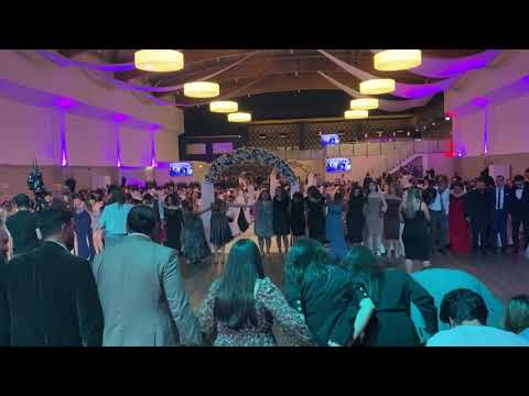 Grup DEVIN Erzincan/Dersim Pazarcik Halay