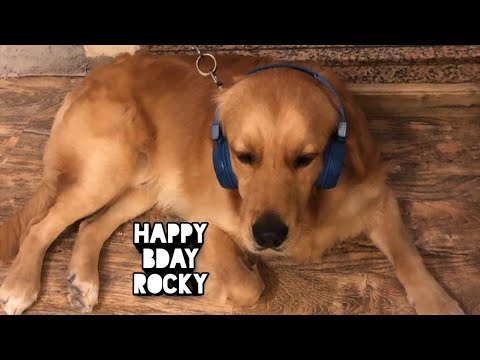 Rocky's birthday special