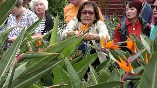 Reel 10   3 Queens Cruise - Las Palmas de Gran Canaria November 6, 2018