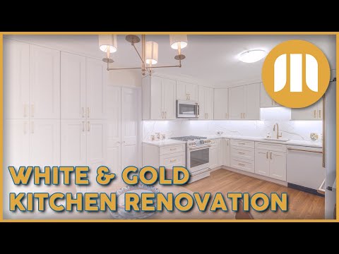 Douglas and Alison's Kitchen Renovation in McLean, VA