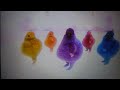 The Boohbahs Do Silly Marching To The Shining Time Station End Credits