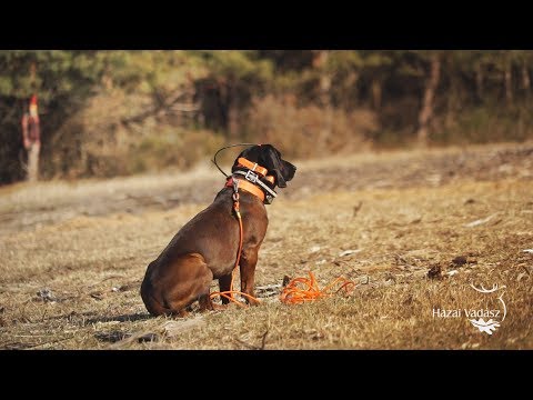 30. Kaszó Kupa - Életképek - 2019.02.16-17.