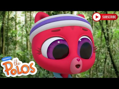 Learning about birds | The Polos | Adventure Learning | Learn At Home - Kingdom Kids Zone, Little Learners - The Polos and MarcoPolo Learning