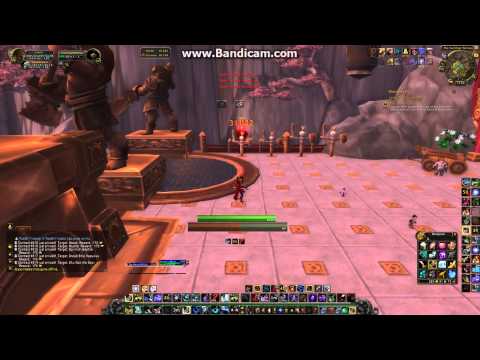 Hunter Weakauras 2 Setup