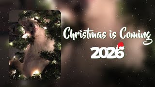 CHRISTMAS IS COMING!!! 🎄 Christmas Songs 2026 🎄 This playlist will make you feel closer to Christmas