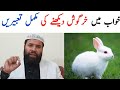 Khwab Mein Khargosh Dekhna Khwab Mein Khargosh Dekhne Ki Tabeer Rabbit Dream Meaning