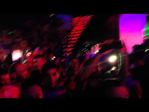 WALKING WITH ELEPHANTS @ SPACE