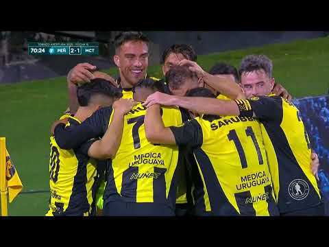 bg-highlight
