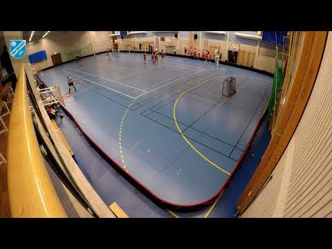 Švédsko 20.4.2017 P03: FBC Draci Říčany x Pixbo Wallenstam IBF  2:4