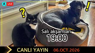 514 LIVE : Tekne yaşantısını kolaylaştıran doğru alışkanlıklar