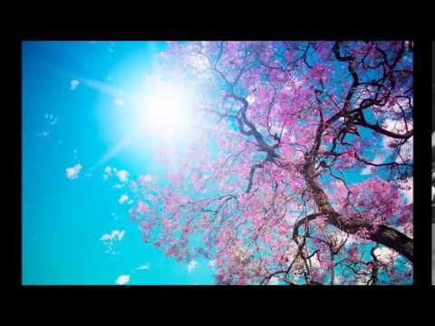 Talla 2xlc - Come With Me (Airfire mix)