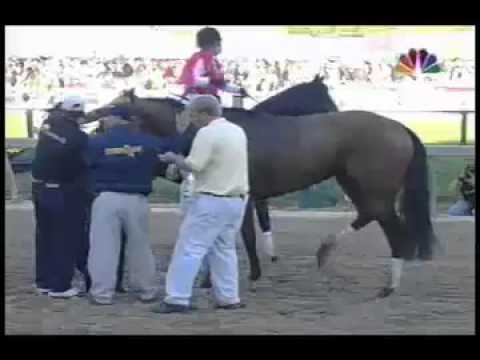 Barbaro Injury Preakness Stakes May 20 2006