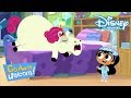 Go Away Unicorn! | Wakker Worden, Unicorn! | Disney Channel NL