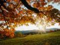 KENNY G- GOING HOME 