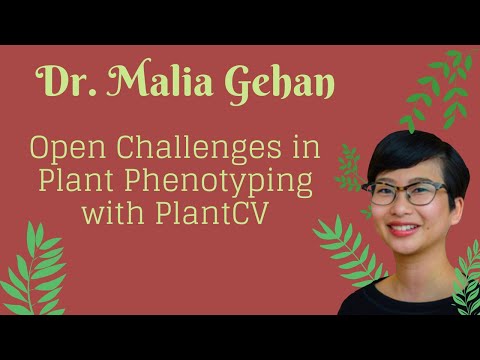 Dr. Malia Gehan | Open Challenges in Plant Phenotyping with PlantCV | FABI International Seminar