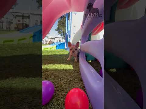 Video 3