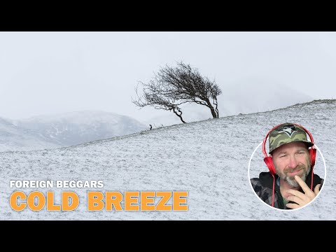 Foreign Beggars - Cold Breeze (Reaction)