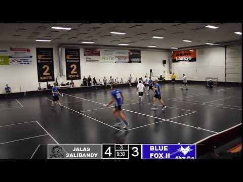 Jalas Salibandy - Blue Fox II