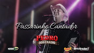 Pedro Soberano - Passarinho Cantador (Vídeo Oficial) DVD Ao Vivo