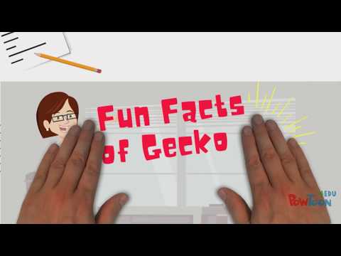 Inspiration from Gecko to Gecko tape (SciVid 2017-G)