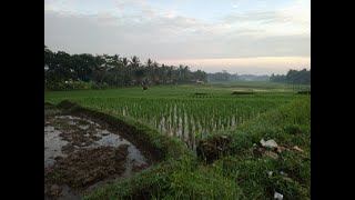 Download lagu like a vessel #rckstudio mp3 Download lagu like a vessel #rckstudio mp3