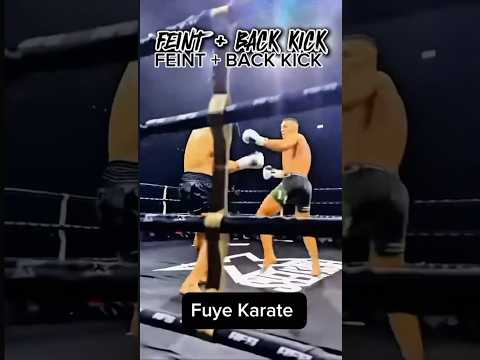 Feint + back kicks #karate #boxing #mma #mmafighter #martialarts #shortvideo