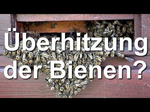 Rückenschmerzen und Fahrrad Die Ursache der Schmerzen in der linken zurück