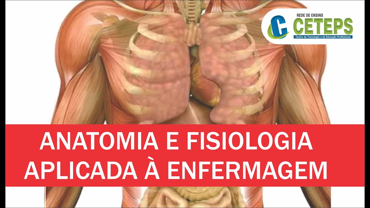 Técnicos em Enfermagem -  ANATOMIA E FISIOLOGIA APLICADA À ENFERMAGEM - Aula 39