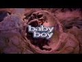 The Cress Theory on Black Males - Baby Boy (2001)