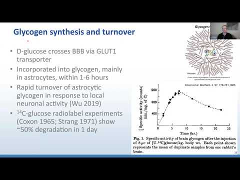 AANP Teaching Rounds - November 24, 2025 - Metabolic Storage Disorders of the Nervous System