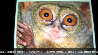 KUCHARCZYK - EPIC FAIL