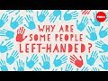 Why are some people left-handed? - Daniel M. Abrams