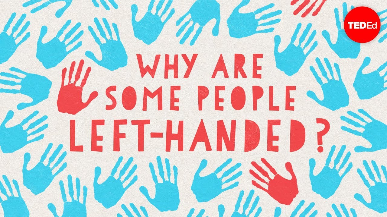 Why are some people left-handed? - Daniel M. Abrams