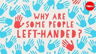 Why are some people left-handed? - Daniel M. Abrams