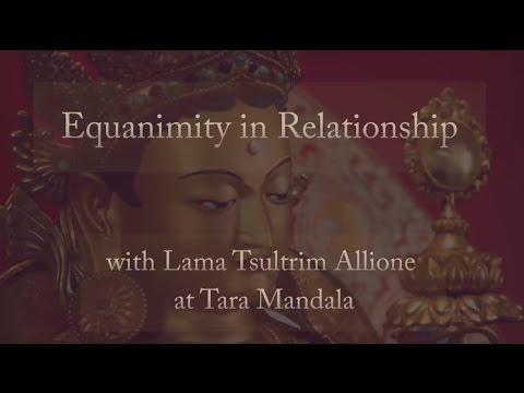 Buddhist Equanimity: Transforming Attachment in Relationships