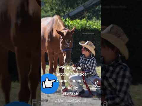 MANEGGIO               FATTORIA DIDATTICA         LA ROCCIA RANCH