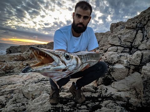 Shore jigging on Island of Vis - Jizz on the Vis expedition 2  - part 1