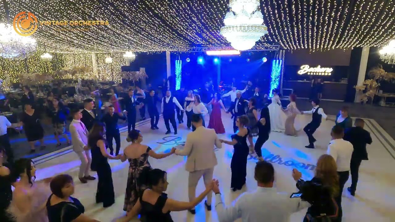 Roxana Sava ❌ Vintage Orchestra - Colaj Sârbe Petrecere LIVE Craiova 2024