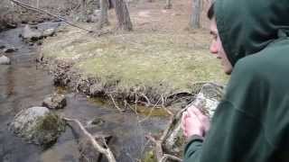 IOweKnee - Cali Girl (Official Video)