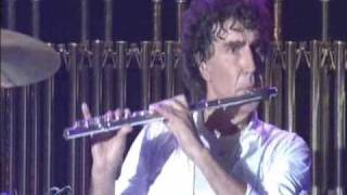 Pooh - La Gabbia - Parsifal (strumentale)