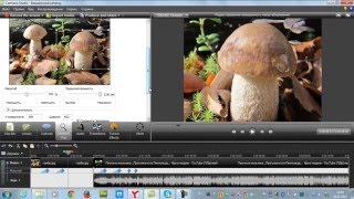 Секреты Camtasia Studio.  Масштабирование.