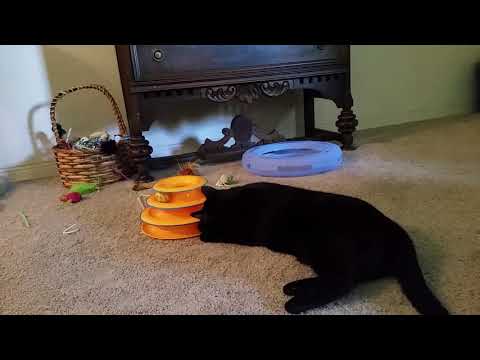 Kelvin Christmas '17