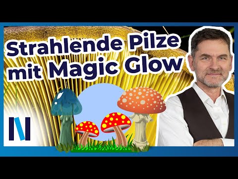 Pilze fotografieren: Mit dem Magic-Glow-Effekt Pilze zum Leuchten bringen!