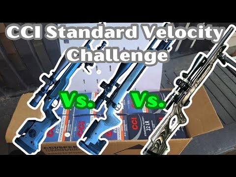 Tikka T1X vs. CZ 457 LRP vs. Ruger 10/22 target lite - Long Rifle - CCI Standard Velocity Challenge