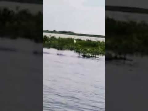 Cicuco: El corazón del agua en Bolívar