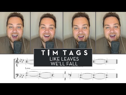 is this what falling in love feels like?