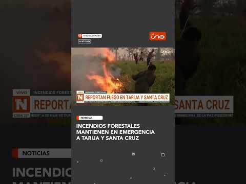 Incendios forestales mantienen en emergencia a Tarija y Santa Cruz