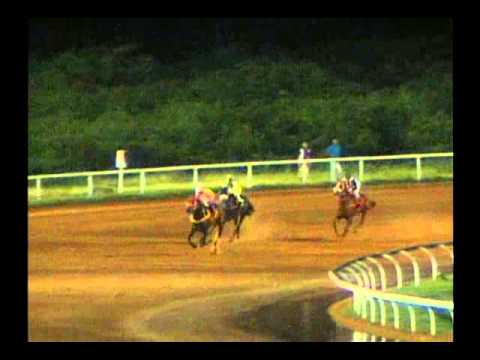 10ma. Carrera Miercoles 23 de Octubre de 2013 SANTA RITA